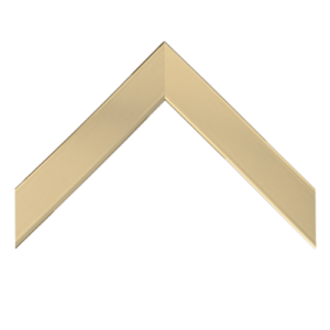 110G - Champagne Bronze Mirror Frame