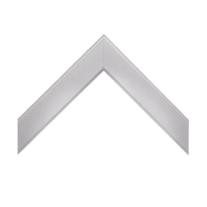 110S - Stainless Steel Mirror Frame