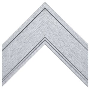 670BS - Brushed Silver Mirror Frame